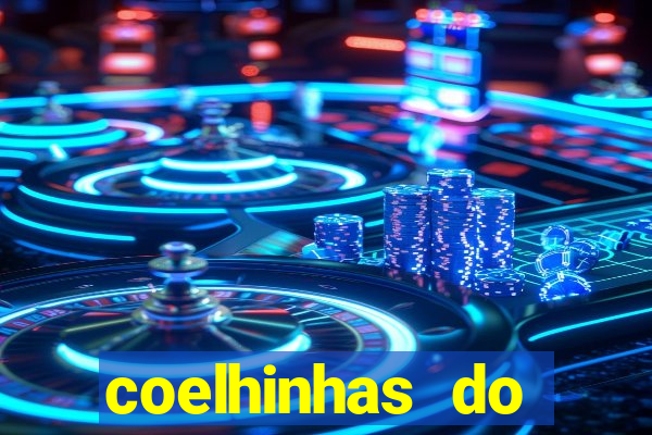 coelhinhas do brasil recife